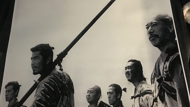 庭院景观树苗木推荐排名：如何根据需求选择合适树种