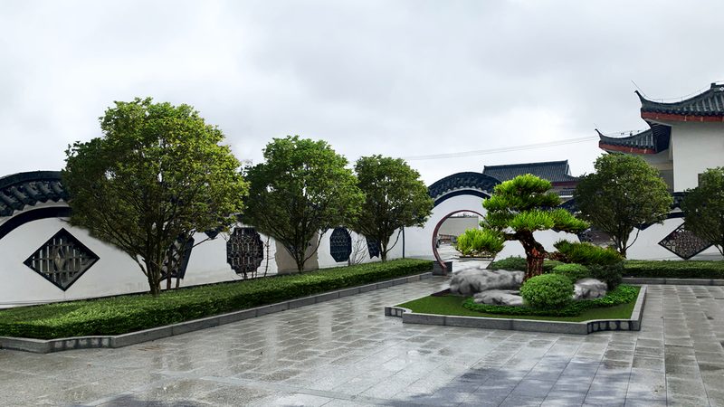 护坡抗冲刷草种：如何选择性价比之选**