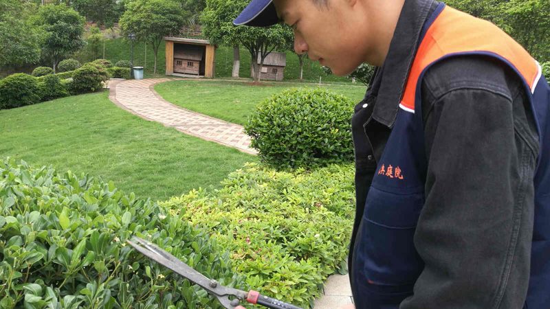 商场绿植租赁，如何制定一份合理的报价单？**