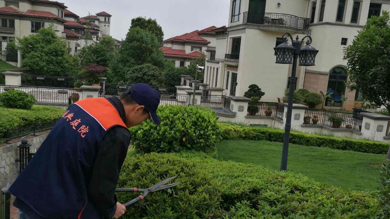 市政道路绿化施工材料清单：揭秘关键要素**