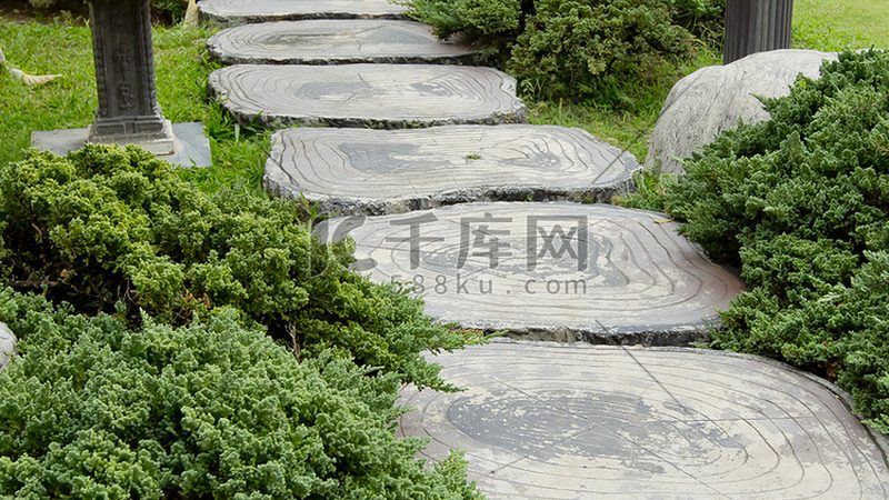 市政绿化苗木价格走势：影响因素与趋势分析