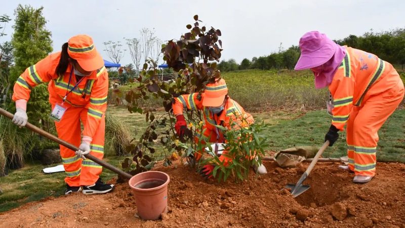 轻型屋顶绿化基质注意事项解析