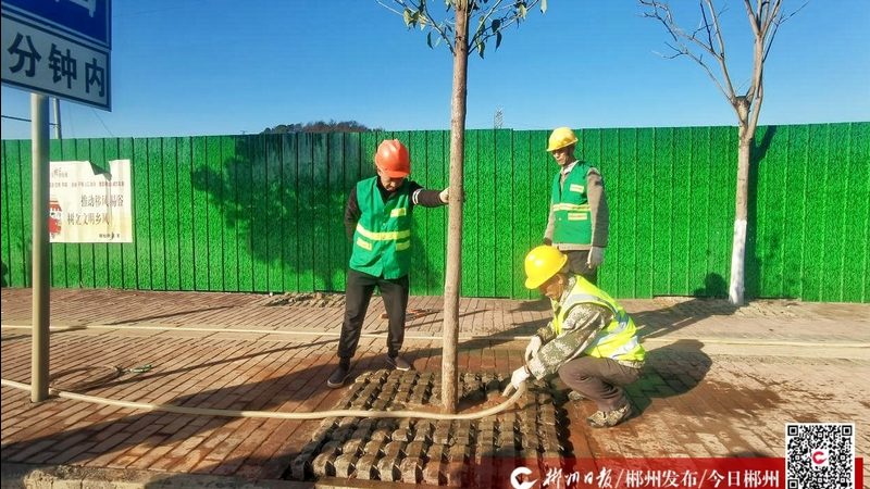 上海苗木种植工期解析：影响因素与实际案例**