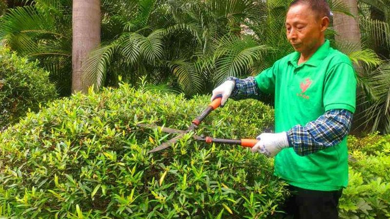 成都新中式庭院设计施工流程全解析