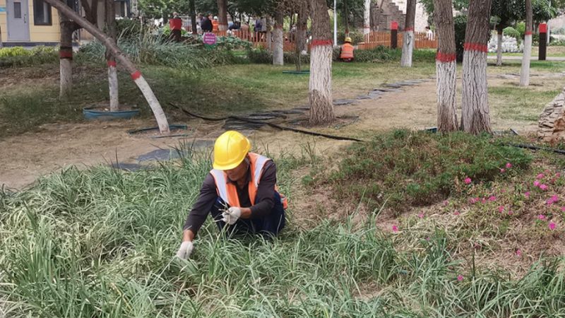 绿化资质新办分类等级：了解这些，让项目更合规**