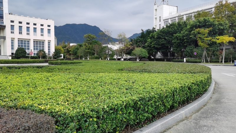 园林苗木种植报价包含运输吗？揭秘报价构成背后的秘密