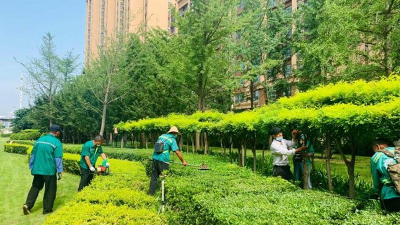 老旧小区绿化改造设计公司